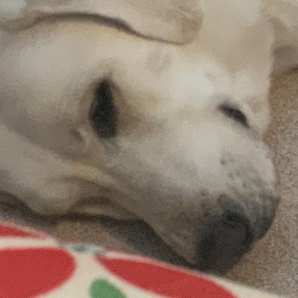 Meet your Posher, Cathy - Picture 1 of 1